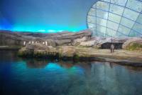 Imagine atasata: Zoo Berlin 0545.JPG